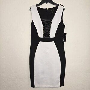 Thalia Sodi Dress Size S